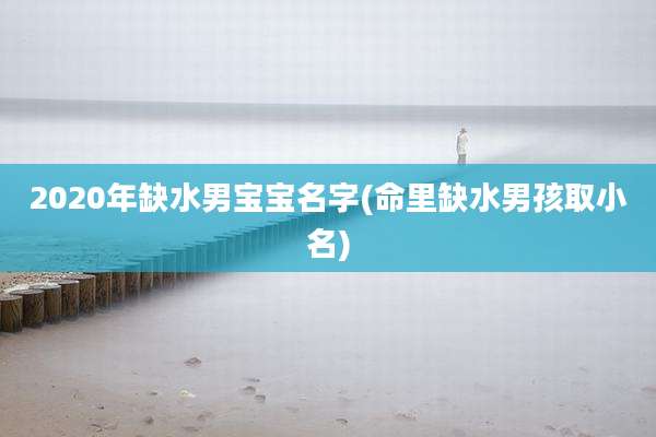 2020年缺水男宝宝名字(命里缺水男孩取小名)