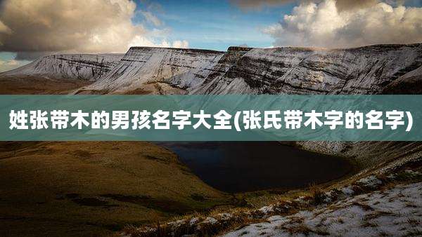 姓张带木的男孩名字大全(张氏带木字的名字)