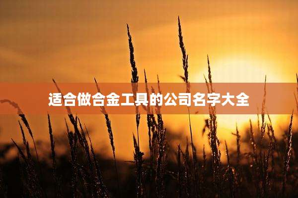适合做合金工具的公司名字大全