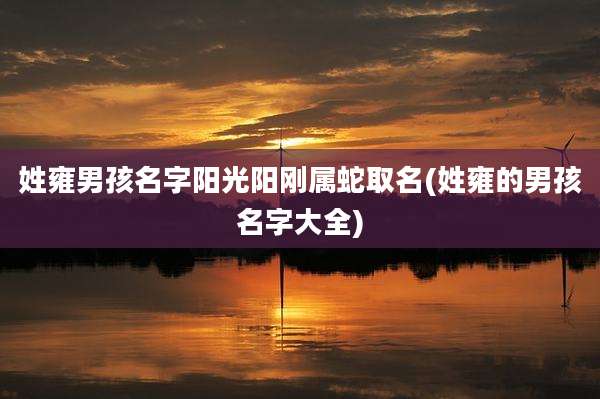 姓雍男孩名字阳光阳刚属蛇取名(姓雍的男孩名字大全)
