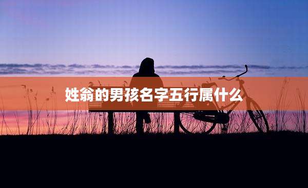 姓翁的男孩名字五行属什么