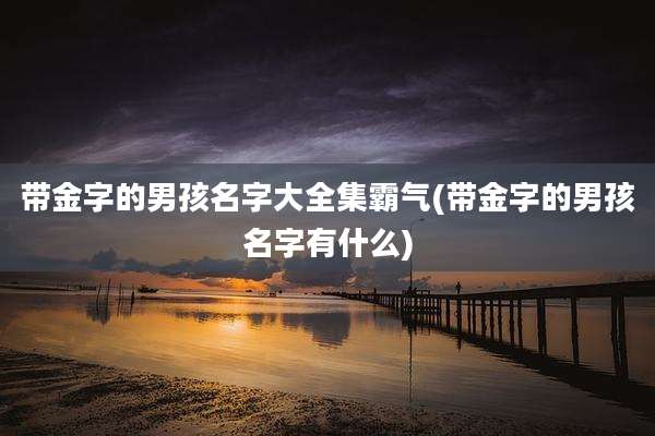 带金字的男孩名字大全集霸气(带金字的男孩名字有什么)