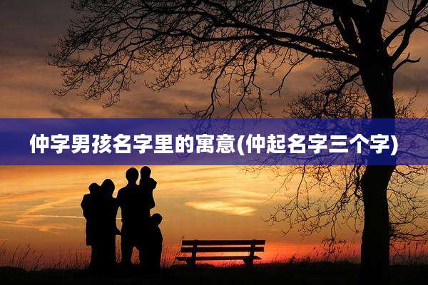 仲字男孩名字里的寓意(仲起名字三个字)