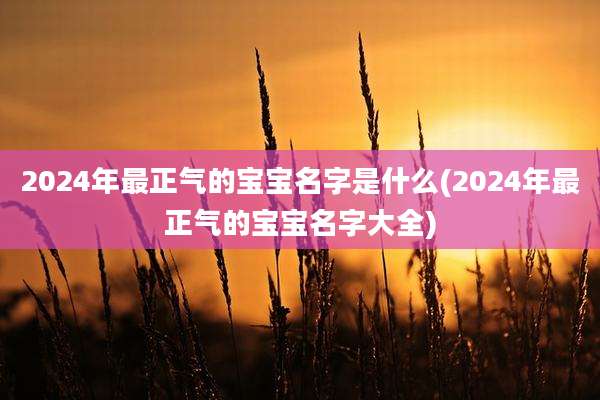 2024年最正气的宝宝名字是什么(2024年最正气的宝宝名字大全)