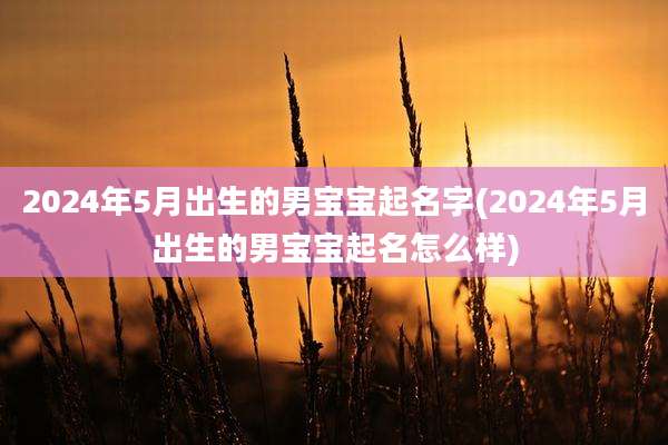 2024年5月出生的男宝宝起名字(2024年5月出生的男宝宝起名怎么样)