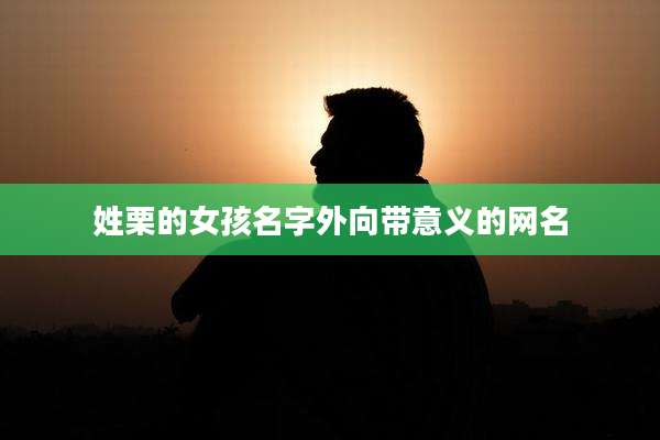 姓栗的女孩名字外向带意义的网名