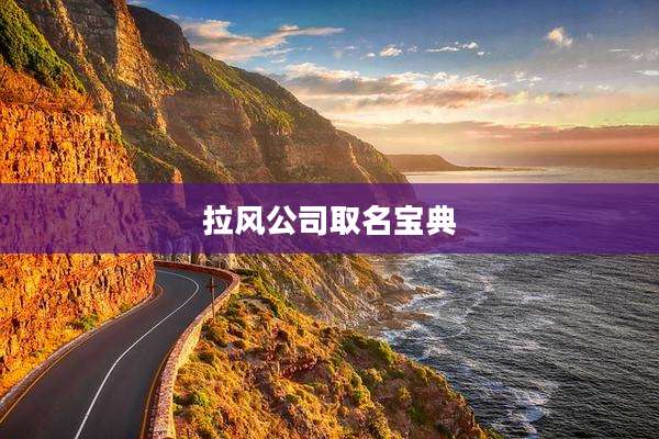 拉风公司取名宝典