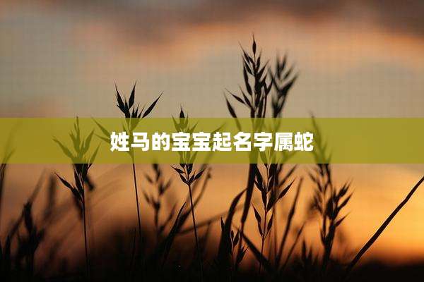 姓马的宝宝起名字属蛇
