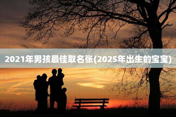 2021年男孩最佳取名张(2025年出生的宝宝)