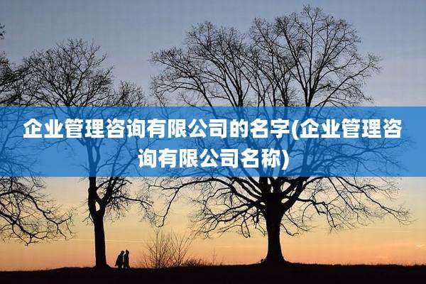 企业管理咨询有限公司的名字(企业管理咨询有限公司名称)