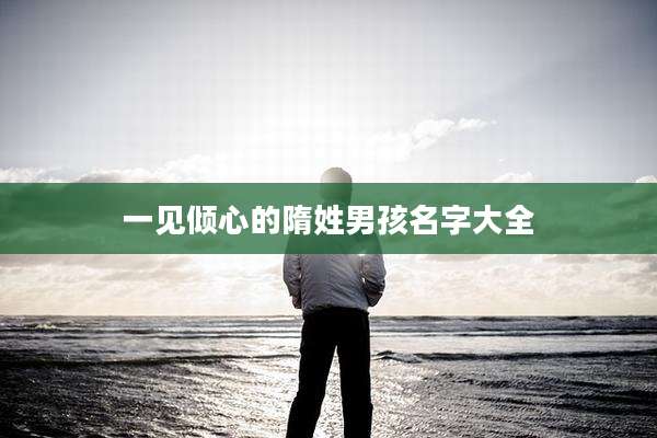 一见倾心的隋姓男孩名字大全