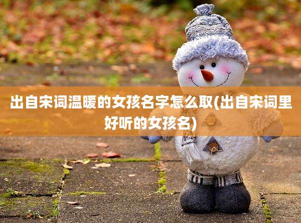 出自宋词温暖的女孩名字怎么取(出自宋词里好听的女孩名)