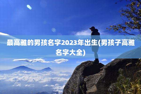 最高雅的男孩名字2023年出生(男孩子高雅名字大全)