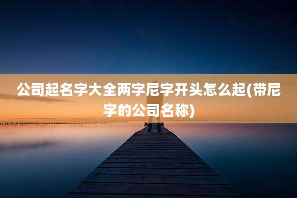 公司起名字大全两字尼字开头怎么起(带尼字的公司名称)