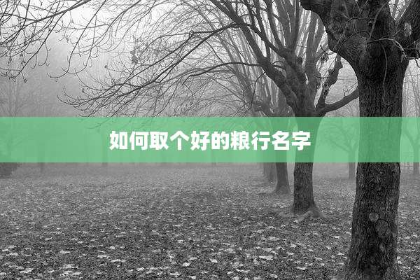 如何取个好的粮行名字