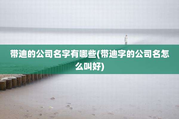 带迪的公司名字有哪些(带迪字的公司名怎么叫好)