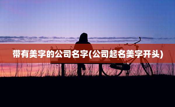 带有美字的公司名字(公司起名美字开头)