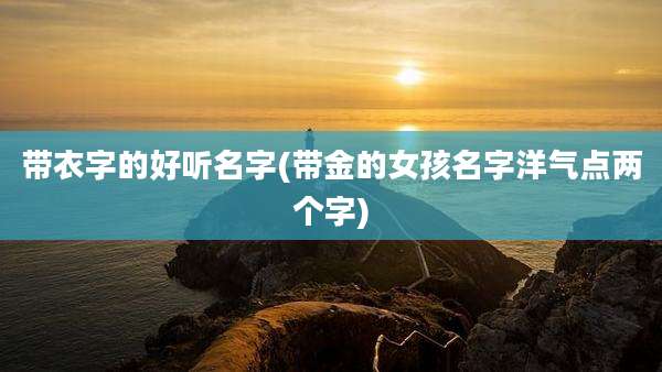 带衣字的好听名字(带金的女孩名字洋气点两个字)