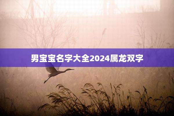 男宝宝名字大全2024属龙双字