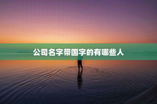 公司名字带国字的有哪些人
