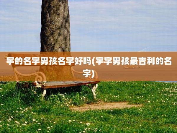 宇的名字男孩名字好吗(宇字男孩最吉利的名字)