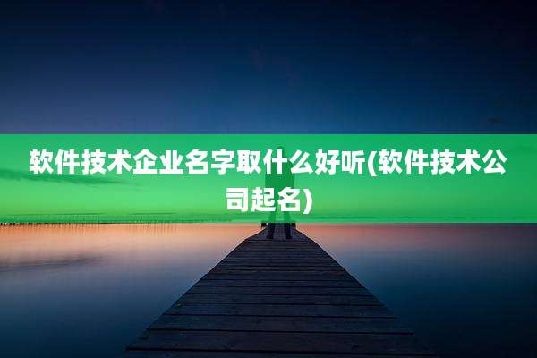软件技术企业名字取什么好听(软件技术公司起名)