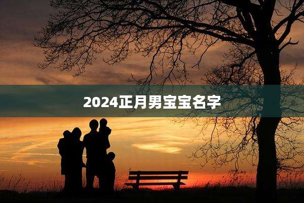 2024正月男宝宝名字