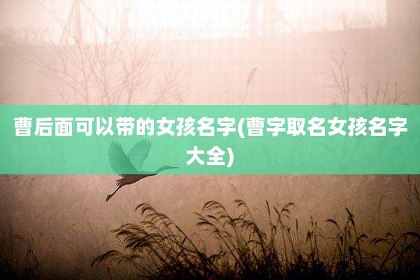 曹后面可以带的女孩名字(曹字取名女孩名字大全)