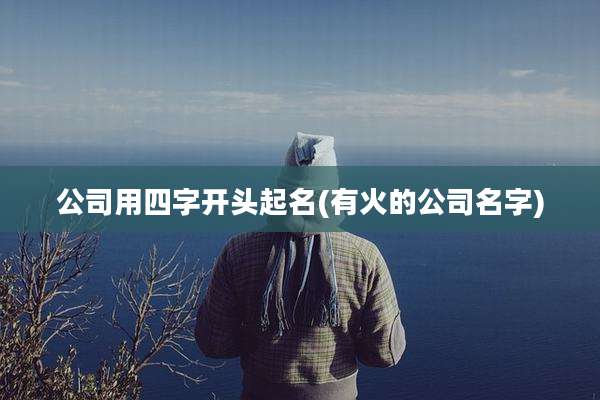 公司用四字开头起名(有火的公司名字)