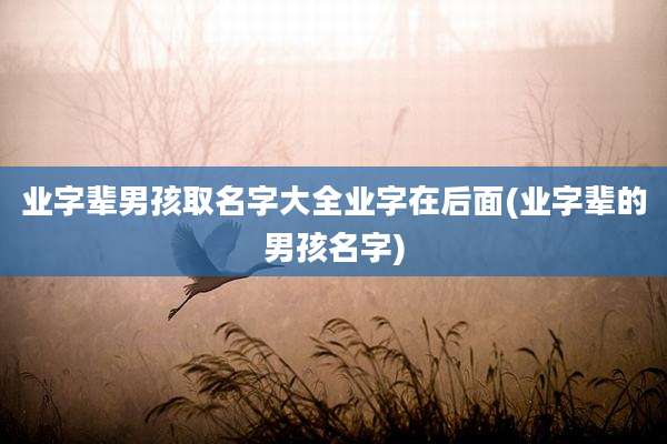 业字辈男孩取名字大全业字在后面(业字辈的男孩名字)