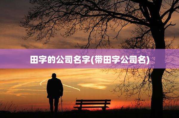 田字的公司名字(带田字公司名)