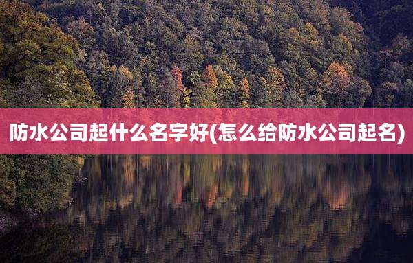 防水公司起什么名字好(怎么给防水公司起名)