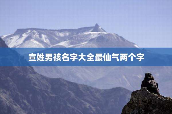 宣姓男孩名字大全最仙气两个字