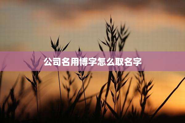 公司名用博字怎么取名字