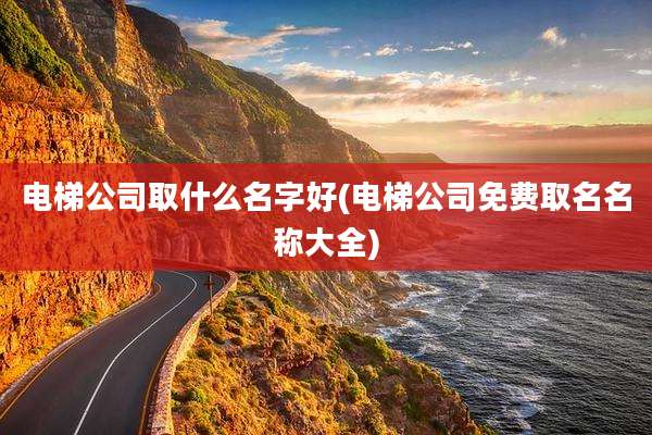 电梯公司取什么名字好(电梯公司免费取名名称大全)