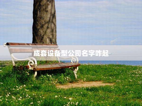 成套设备型公司名字咋起