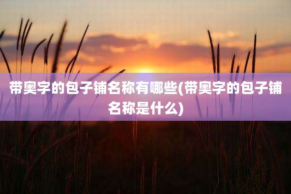 带奥字的包子铺名称有哪些(带奥字的包子铺名称是什么)