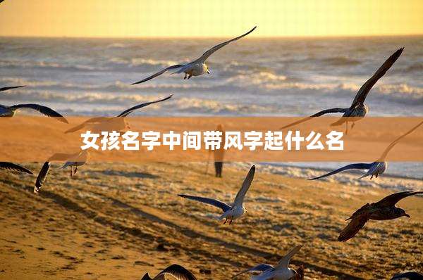女孩名字中间带风字起什么名
