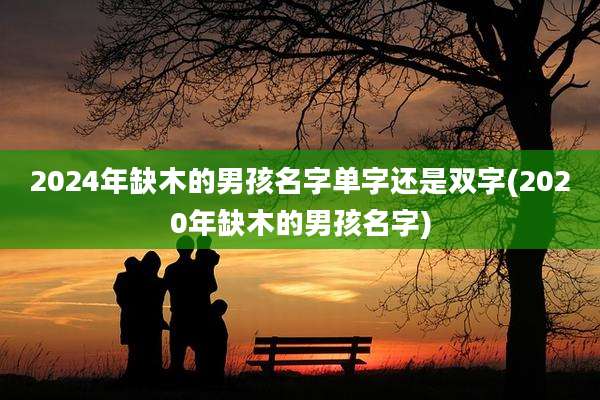 2024年缺木的男孩名字单字还是双字(2020年缺木的男孩名字)