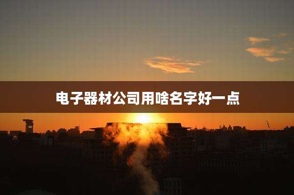 电子器材公司用啥名字好一点