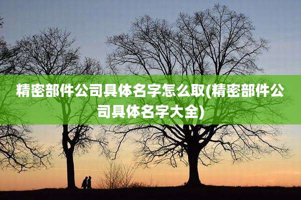 精密部件公司具体名字怎么取(精密部件公司具体名字大全)