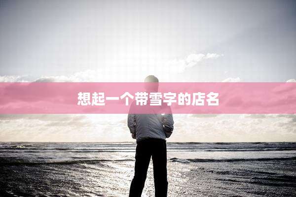 想起一个带雪字的店名