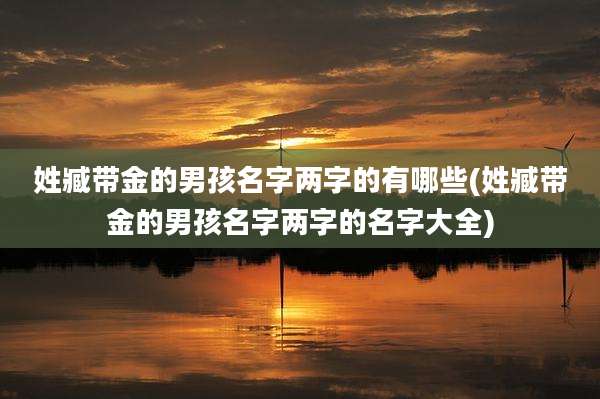 姓臧带金的男孩名字两字的有哪些(姓臧带金的男孩名字两字的名字大全)