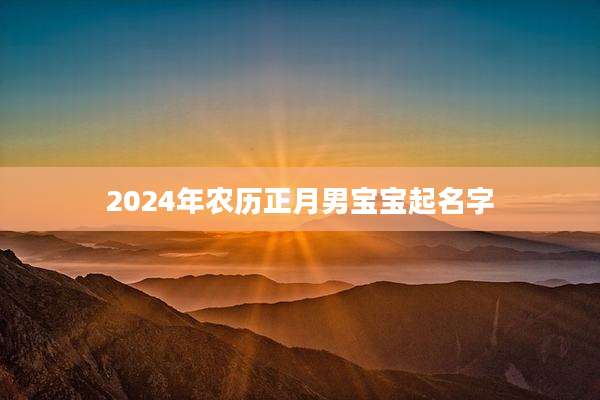 2024年农历正月男宝宝起名字