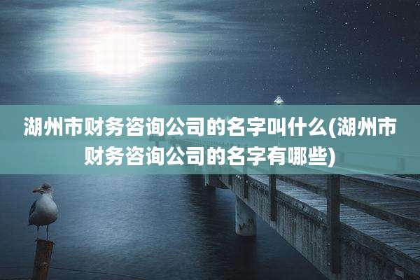湖州市财务咨询公司的名字叫什么(湖州市财务咨询公司的名字有哪些)