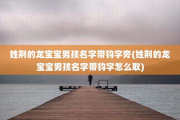 姓荆的龙宝宝男孩名字带钧字旁(姓荆的龙宝宝男孩名字带钧字怎么取)