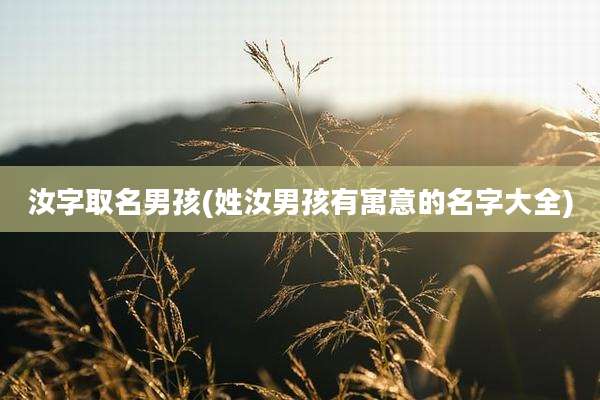汝字取名男孩(姓汝男孩有寓意的名字大全)
