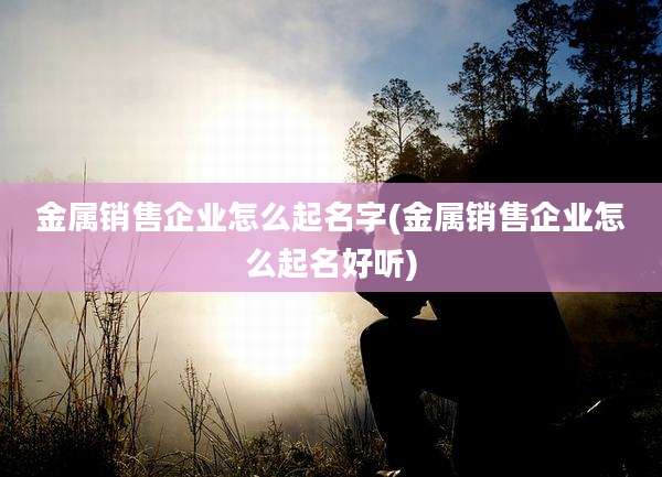 金属销售企业怎么起名字(金属销售企业怎么起名好听)