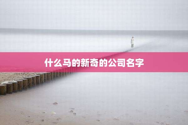 什么马的新奇的公司名字