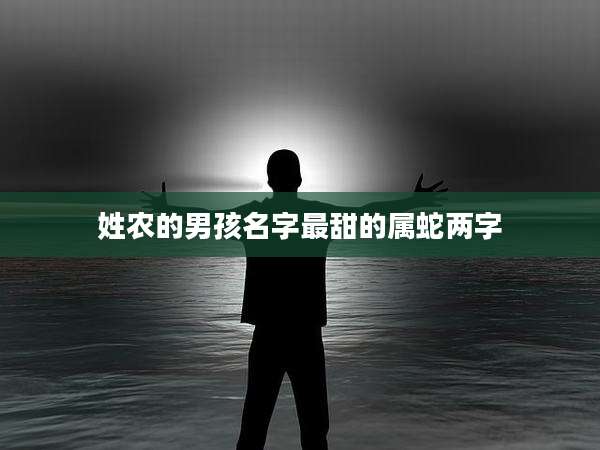 姓农的男孩名字最甜的属蛇两字